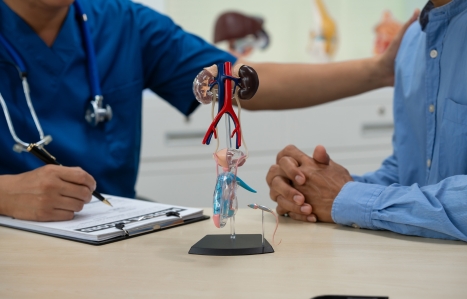 doctor at a table comforting a patient, with a heart model on the table