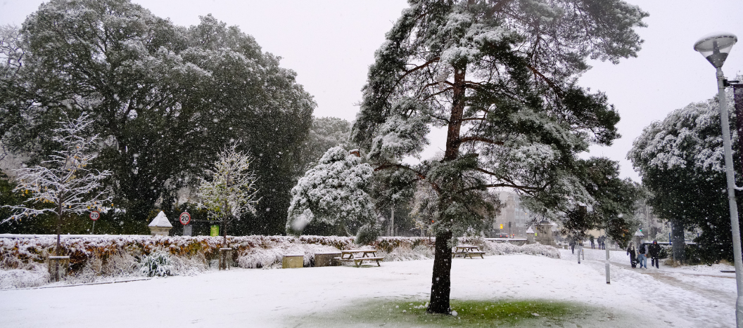 Snow covering the Hele Road campus