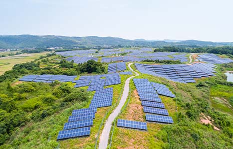 Field full of Solar Panels
