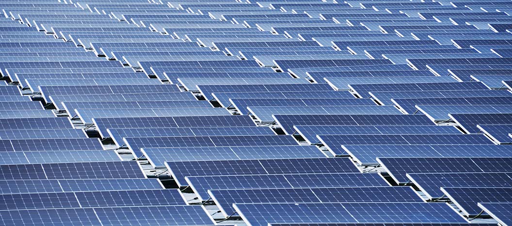 Multiple rows of Solar Panels