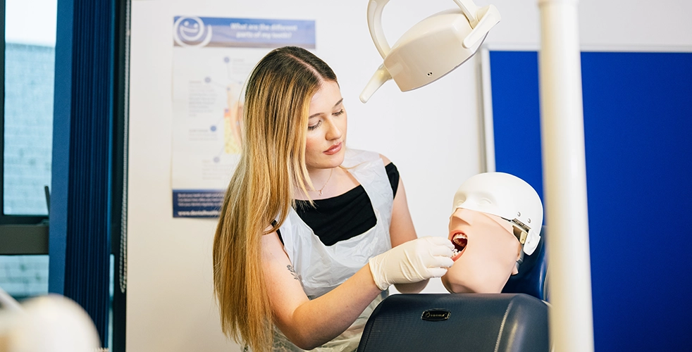 Female dentistry apprenticeships student inspecting a dummy's mouth
